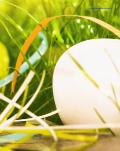 Ei, Ei, Ei – schöne Ostern!